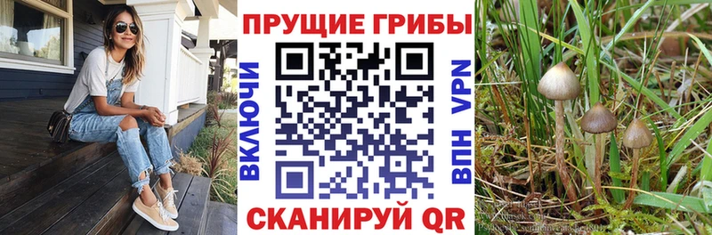 продажа наркотиков  Усинск  Галлюциногенные грибы Cubensis 